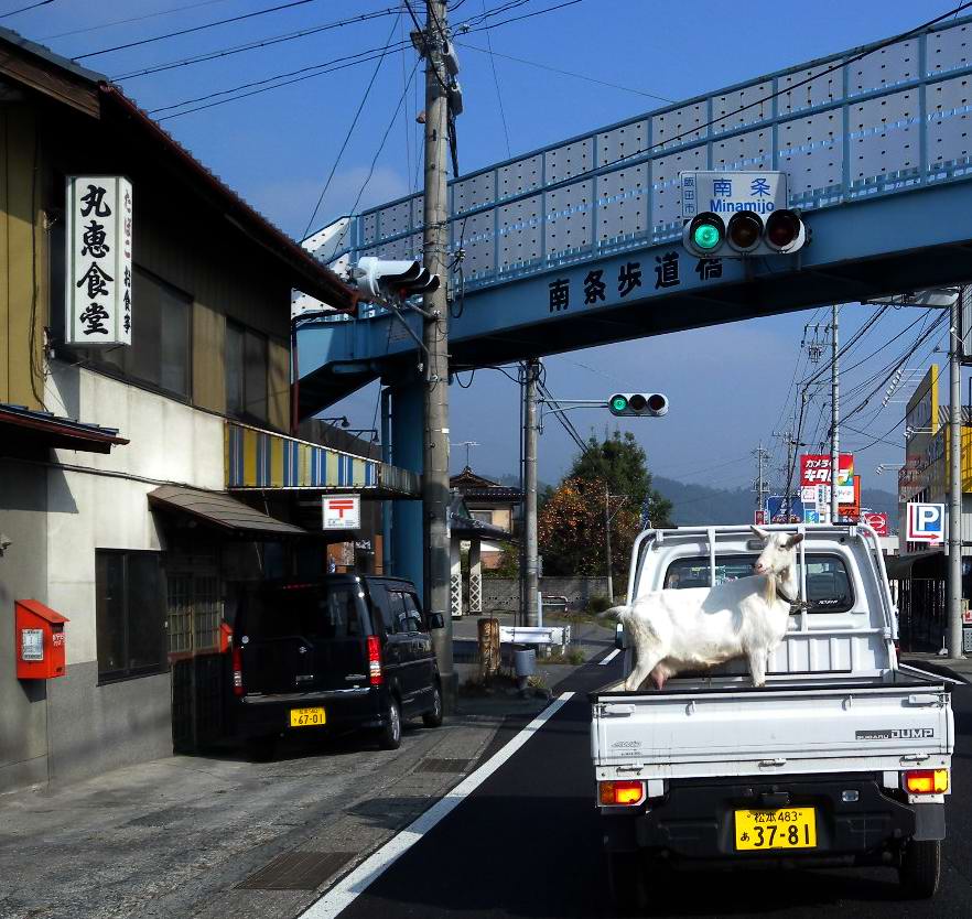Dona Dona 雲雀料理ー銀色のふぉおく